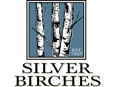 silver silver